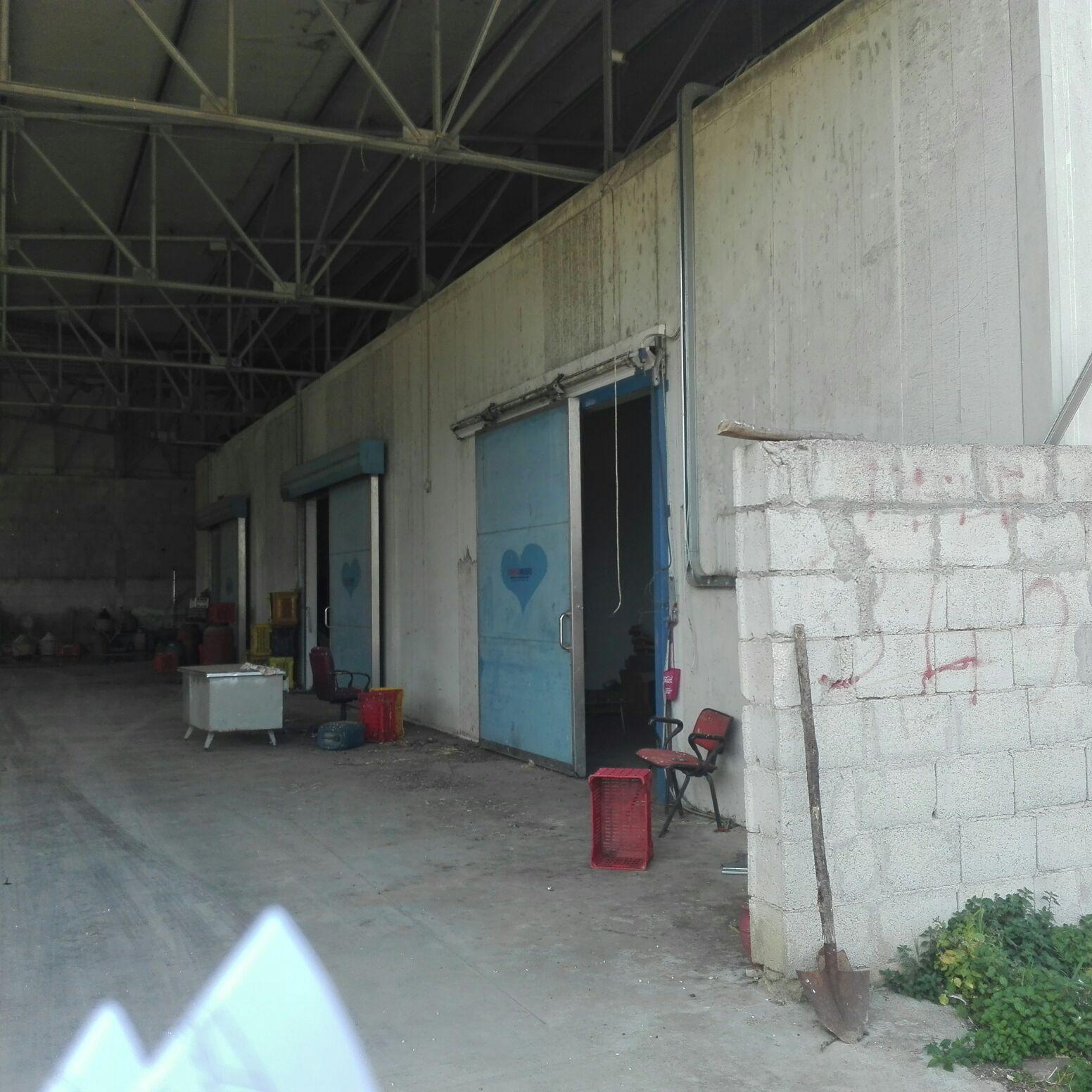 immobile attivita commerciale all'asta in via Vicinale Lago dei Salici snc - 82036 Solopaca (BN) - 3