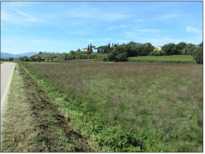 immobile terreno all'asta in Località Ferrone e Località Omomorto - 50038 Scarperia e San Piero (FI) - 1