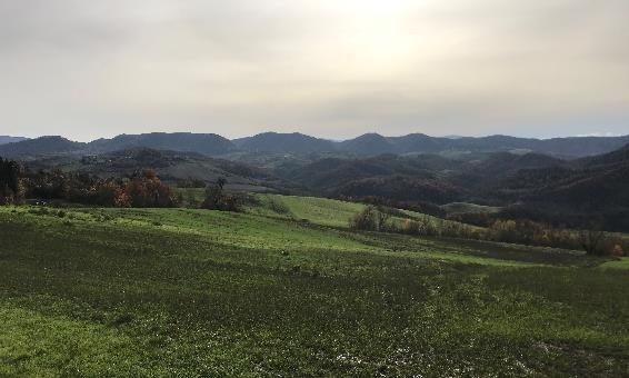 immobile terreno all'asta in Via nd snc - 27040 Fortunago (PV) - 1