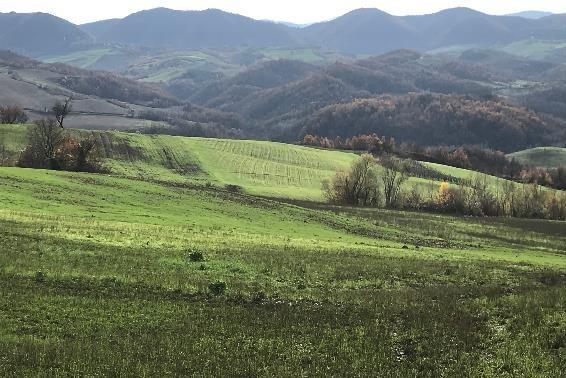 immobile terreno all'asta in Via nd snc - 27040 Fortunago (PV) - 2