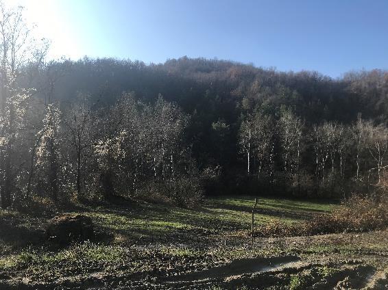 immobile terreno all'asta in Via nd snc - 27040 Fortunago (PV) - 3