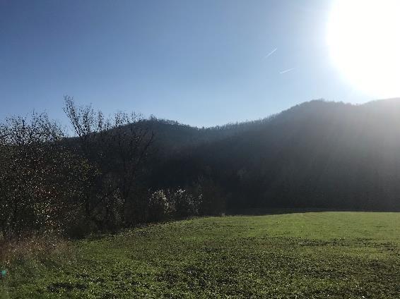 immobile terreno all'asta in Via nd snc - 27040 Fortunago (PV) - 4