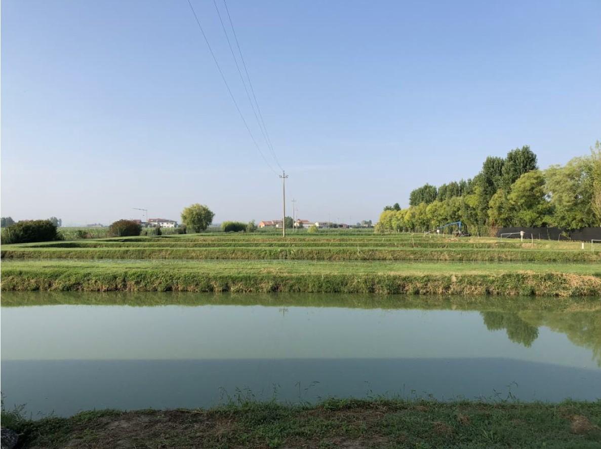 immobile capannone all'asta in Via Dosso Valli n 686 (ex n 18) e Via Marcellette n 820 - 35040 Merlara (PD) - 3