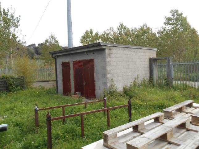 immobile attivita commerciale all'asta in Località Pernicella Gizzeria (CZ) - 4