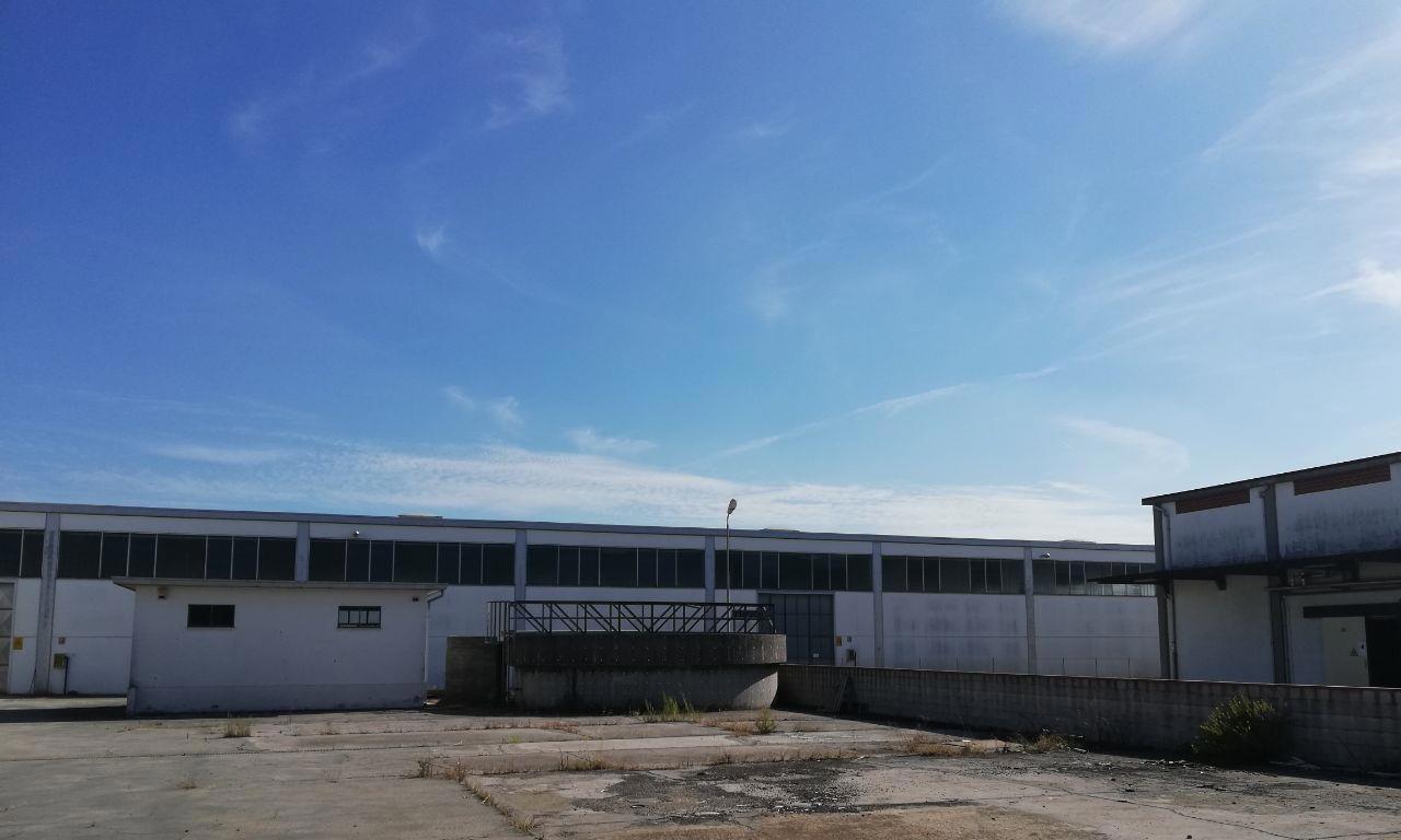 immobile attivita commerciale all'asta in Via Reale, 42 - 48011 Alfonsine (RA) - 1