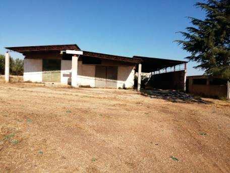 immobile villa all'asta in contrada Lenza D'Oro Bisceglie (BT) - 1