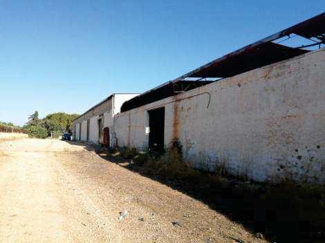 immobile villa all'asta in contrada Lenza D'Oro Bisceglie (BT) - 5