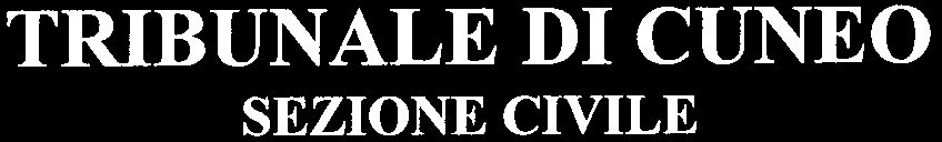 immobile appartamento all'asta in FRAZ BOSCO DI BUSCA - VIA CUNEO, 91 - 12022 Busca (CN) - 2