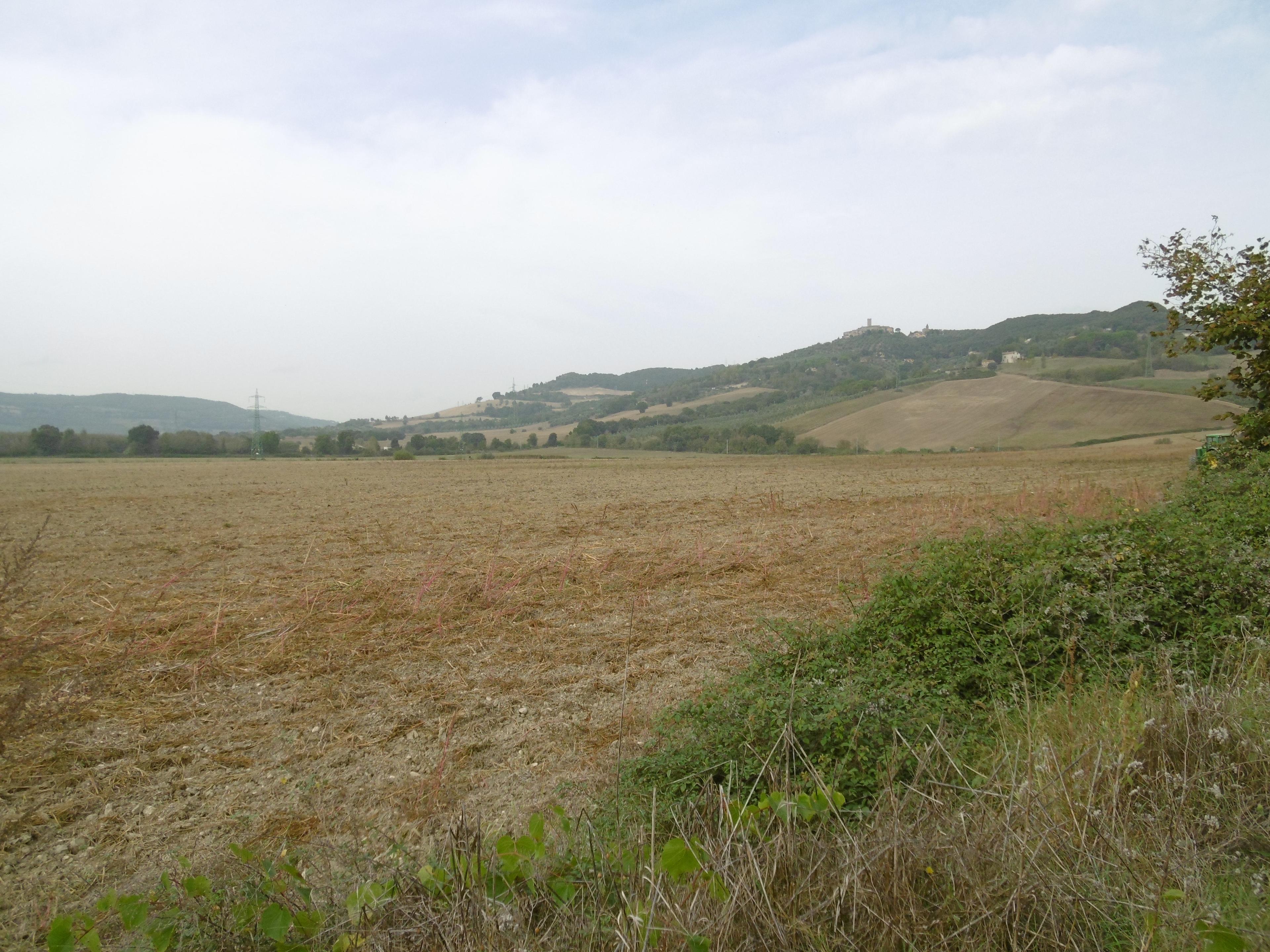 immobile terreno all'asta in Loc Bachucche - 01028 Orte (VT) - 1