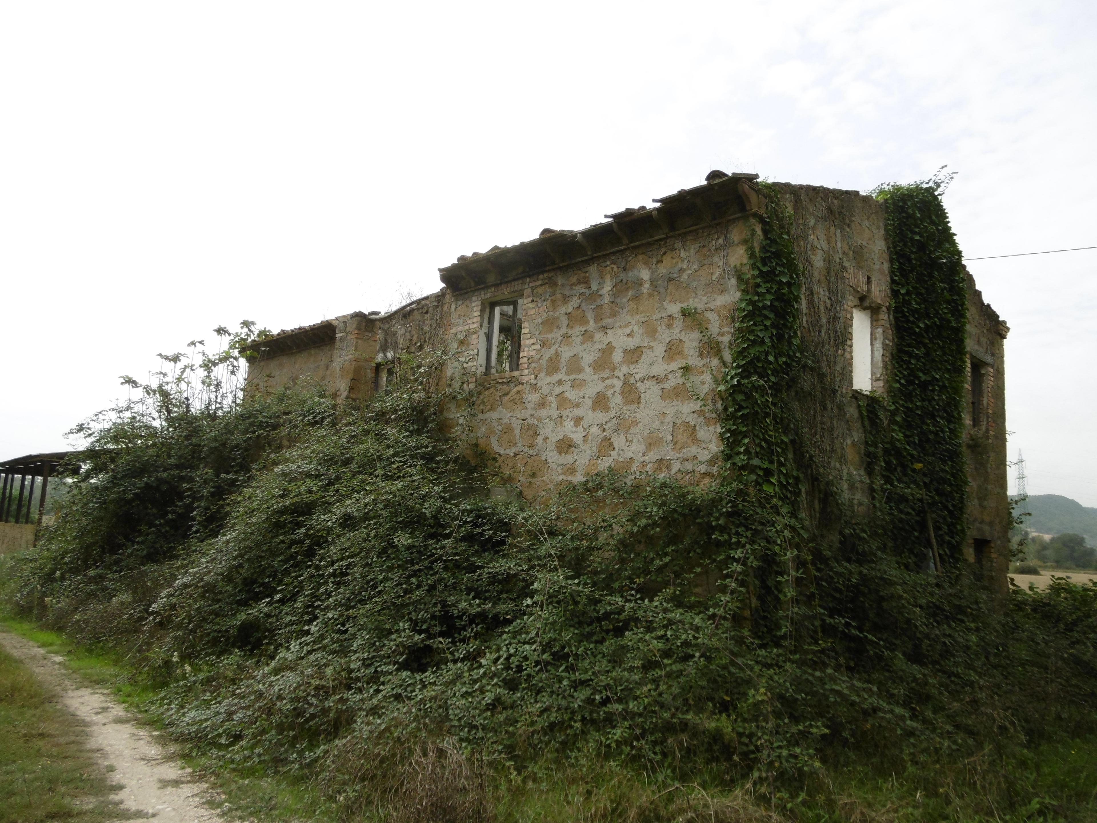 immobile terreno all'asta in Loc Bachucche - 01028 Orte (VT) - 2