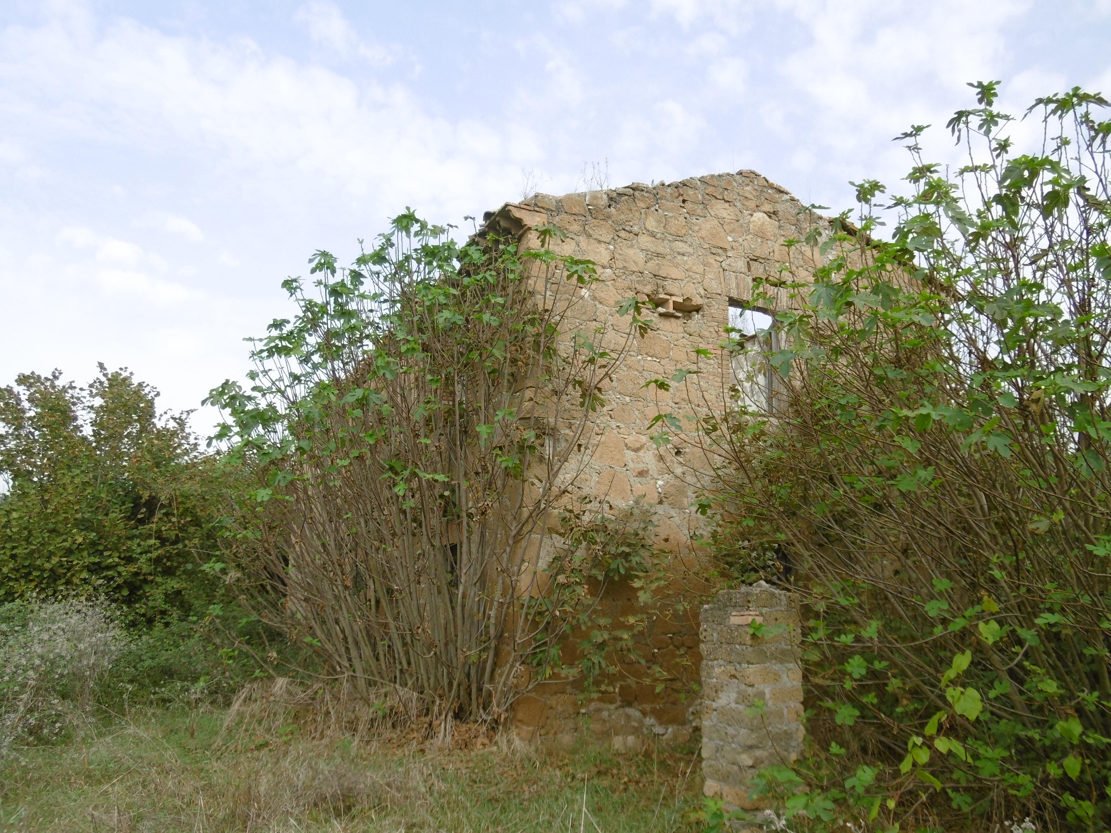 immobile terreno all'asta in Loc Bachucche - 01028 Orte (VT) - 3