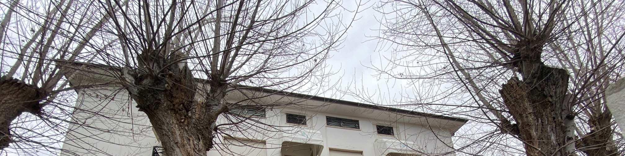 immobile hotel - albergo all'asta in Via Catalani 74 - 55045 Pietrasanta (LU) - 4
