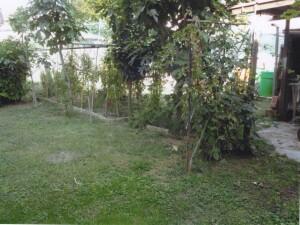 immobile appartamento all'asta in Via XXV Aprile, 156/a - 45030 Guarda Veneta (RO) - 1