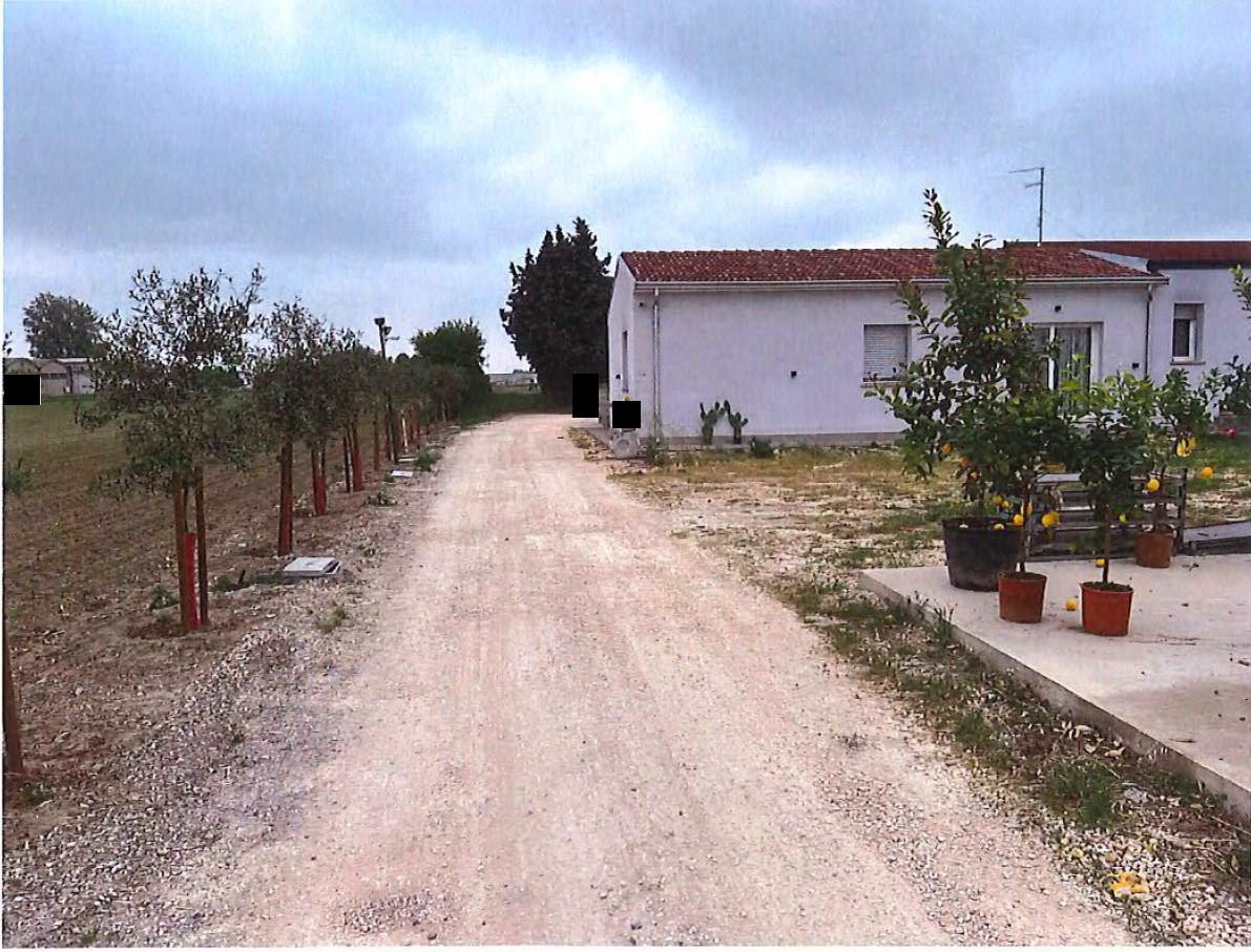 immobile appartamento all'asta in Via Eridania, 109 - 45030 Occhiobello (RO) - 1