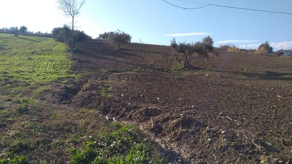 immobile terreno all'asta in contrada Piani Castiglione Messer Raimondo (TE) - 1