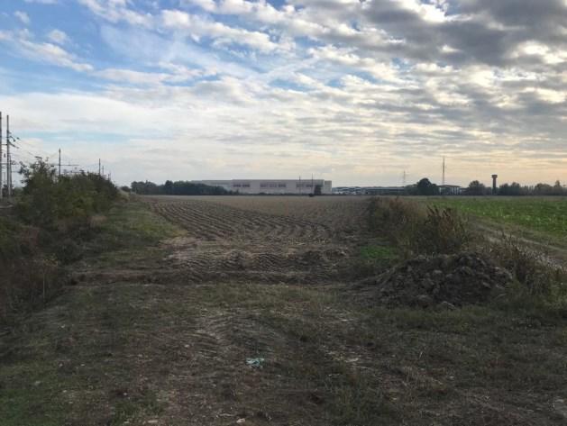 immobile terreno all'asta in Via nd nd - 26826 Secugnago (LO) - 2