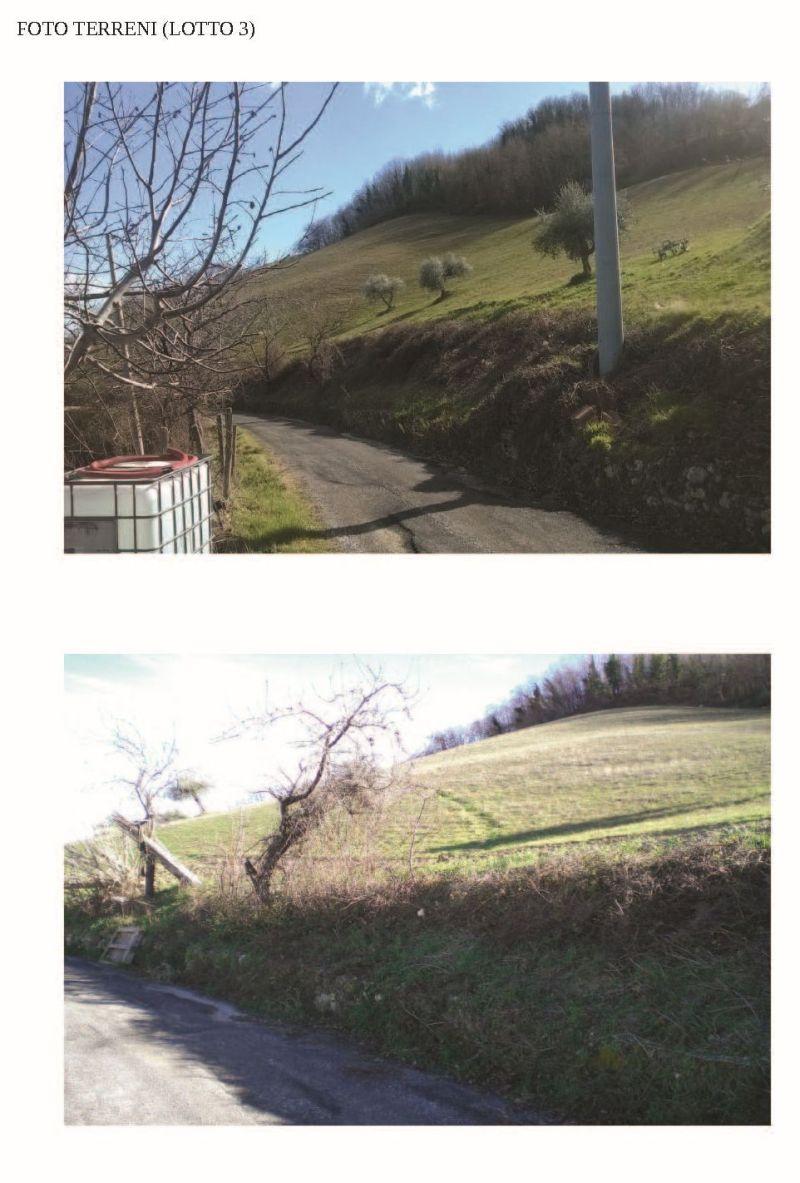 immobile terreno all'asta in Contrada Collalto Penne (PE) - 1