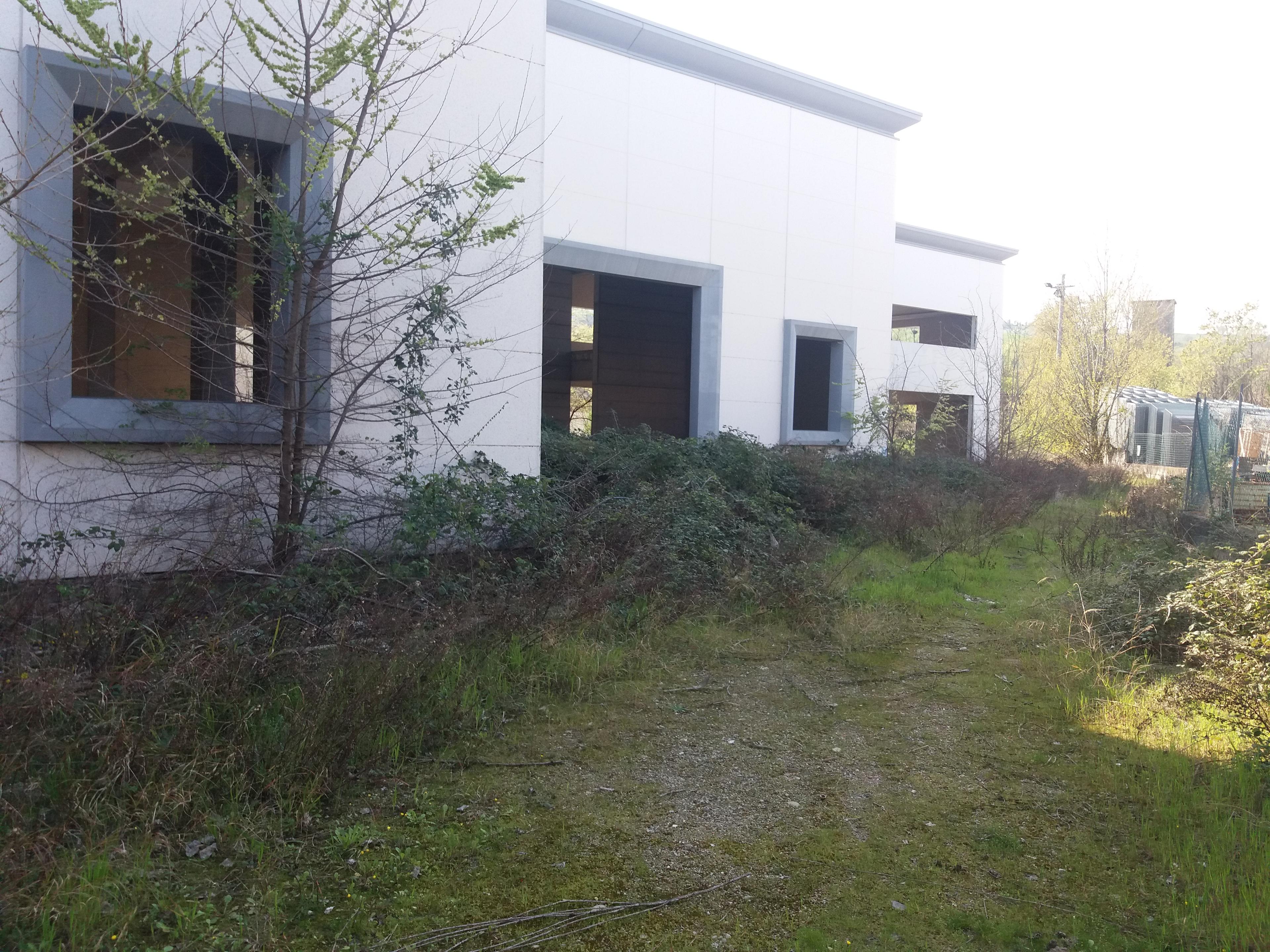 immobile capannone all'asta in Via Don G Bini - 42013 Casalgrande (RE) - 3