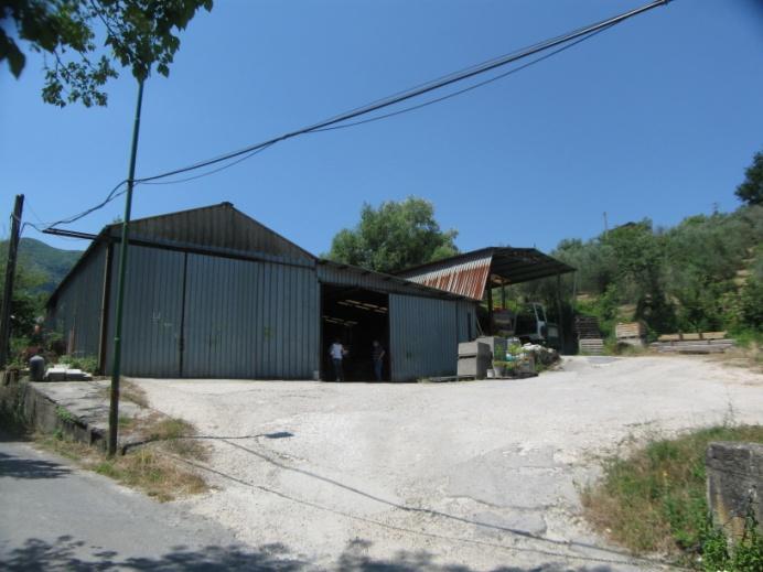 immobile terreno all'asta in contrada Cave - 82017 Pannarano (BN) - 3