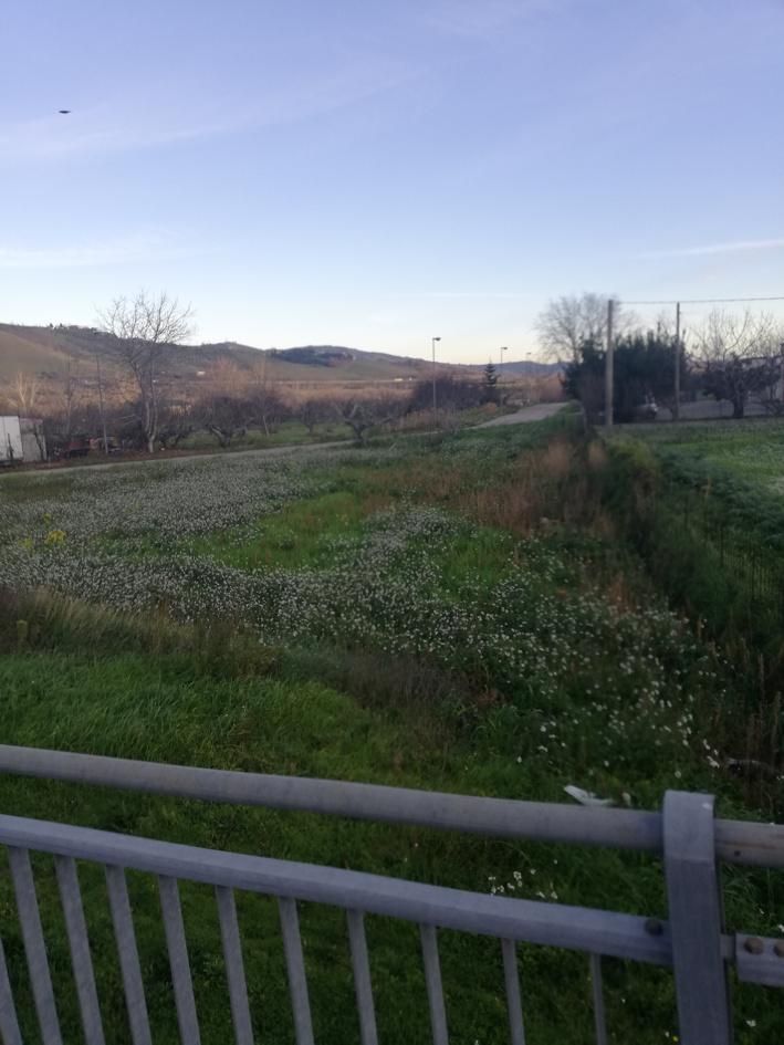 immobile terreno all'asta in Strada Provinciale per Castiglione a Casauria - 65028 Tocco da Casauria (PE) - 1