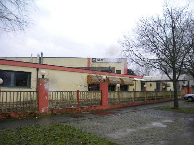 immobile terreno all'asta in Via Giuseppe Mazzini - 46020 Quingentole (MN) - 1