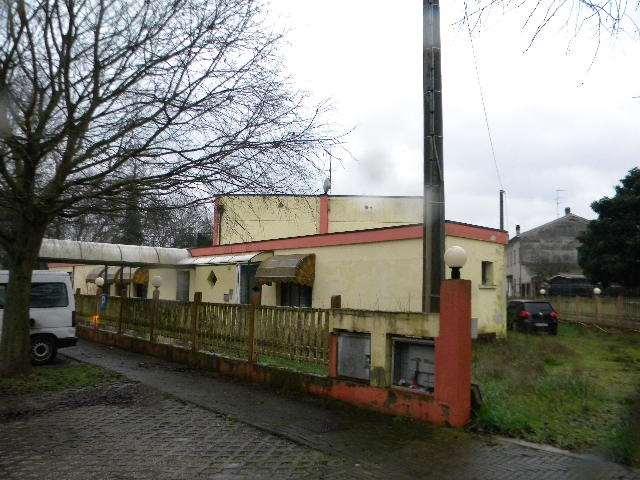 immobile terreno all'asta in Via Giuseppe Mazzini - 46020 Quingentole (MN) - 2