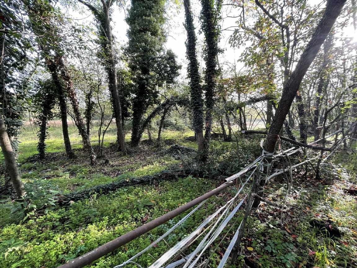 immobile terreno all'asta in Accesso da strada comunale alzaia del Naviglio e strada vicinale snc - 20020 Robecchetto con Induno (MI) - 4