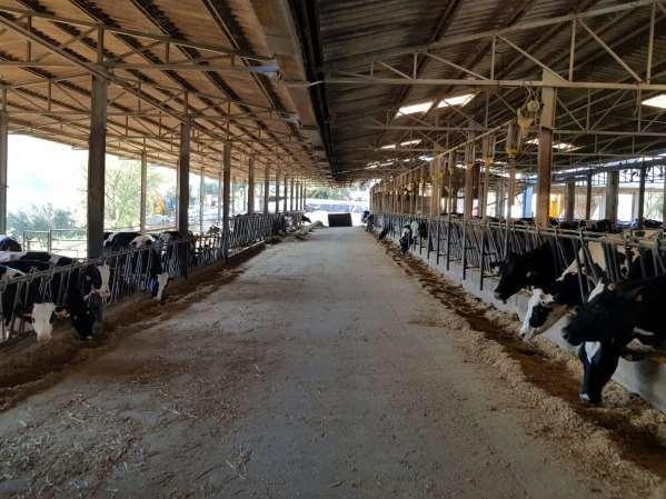 immobile attivita commerciale all'asta in VOCABOLO COLLESPADONE SNC Castelnuovo di Farfa (RI) - 2