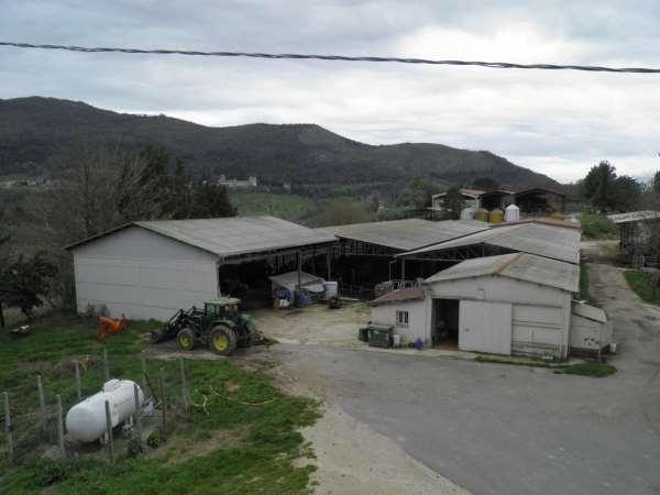 immobile attivita commerciale all'asta in VOCABOLO COLLESPADONE SNC Castelnuovo di Farfa (RI) - 3
