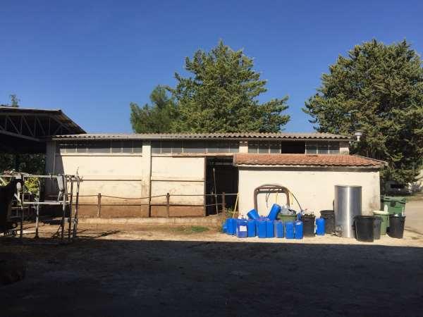 immobile attivita commerciale all'asta in VOCABOLO COLLESPADONE SNC Castelnuovo di Farfa (RI) - 4