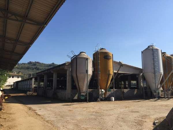 immobile attivita commerciale all'asta in VOCABOLO COLLESPADONE SNC Castelnuovo di Farfa (RI) - 5
