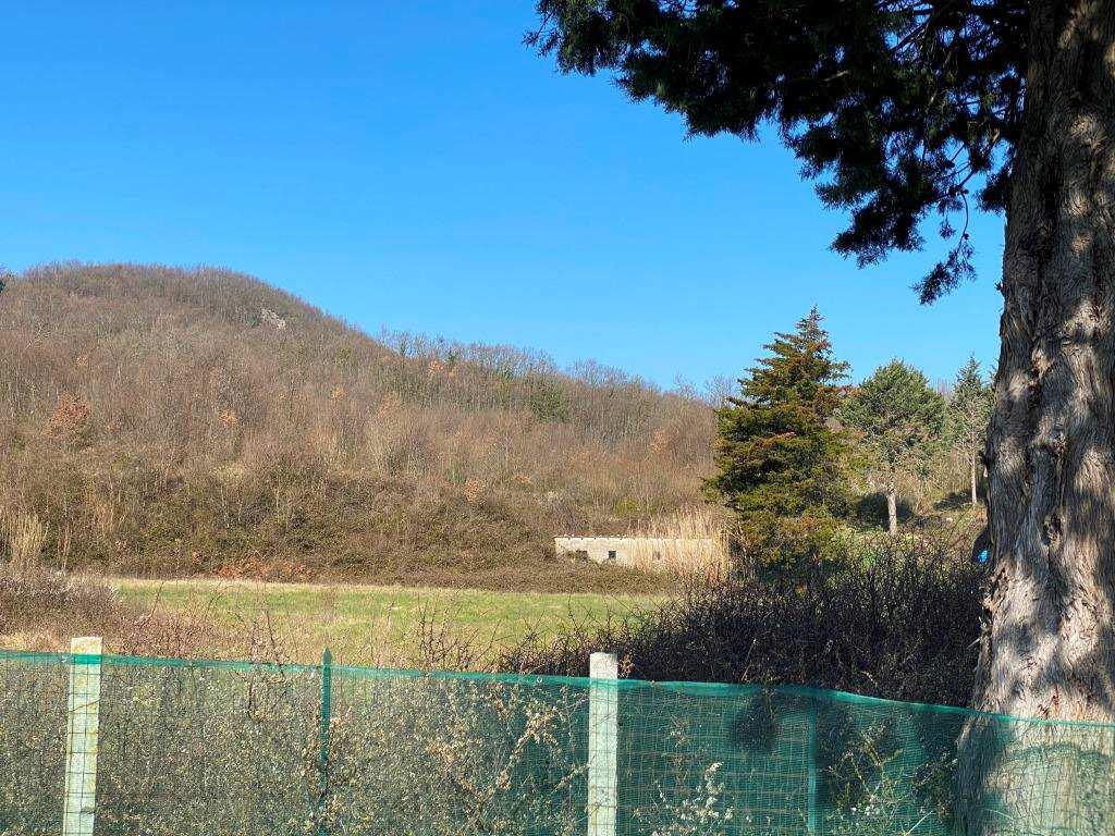 immobile terreno all'asta in VIA MICHELE MATTEI - 82100 Sassinoro (BN) - 2
