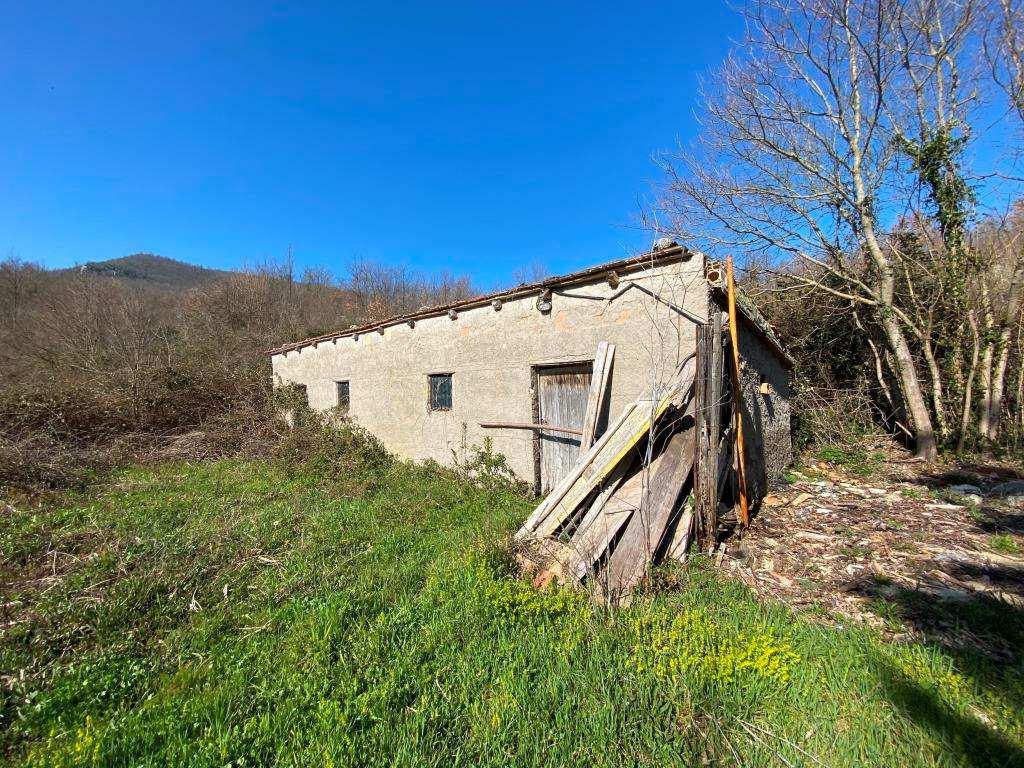 immobile terreno all'asta in VIA MICHELE MATTEI - 82100 Sassinoro (BN) - 4