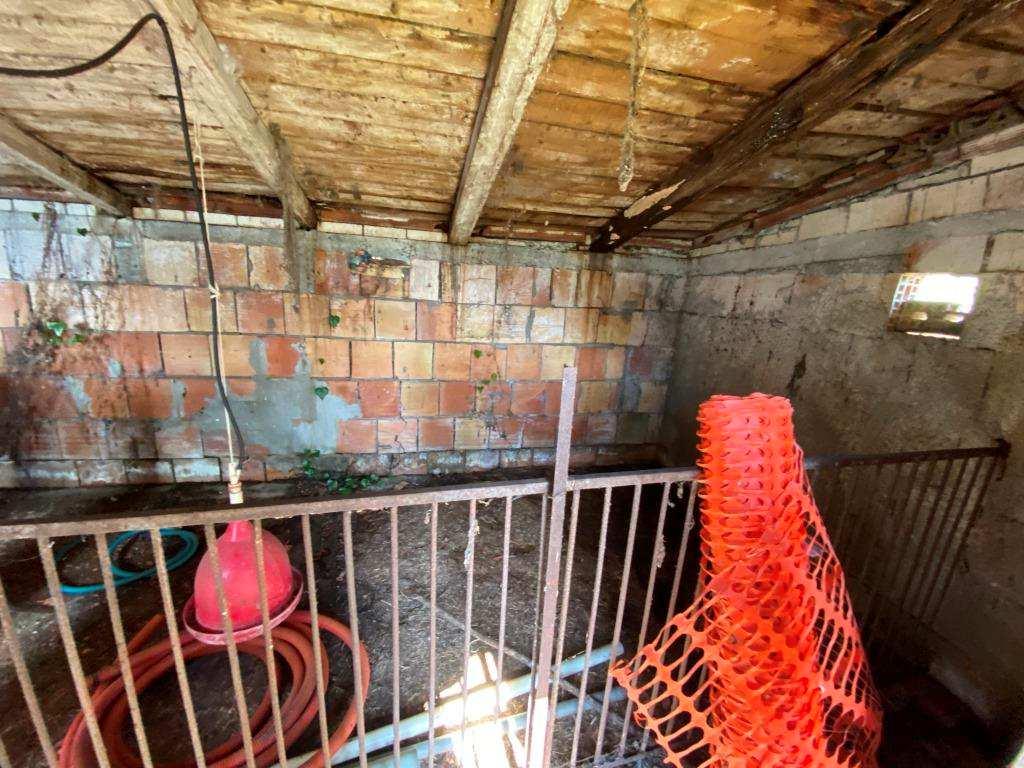 immobile terreno all'asta in VIA MICHELE MATTEI - 82100 Sassinoro (BN) - 5