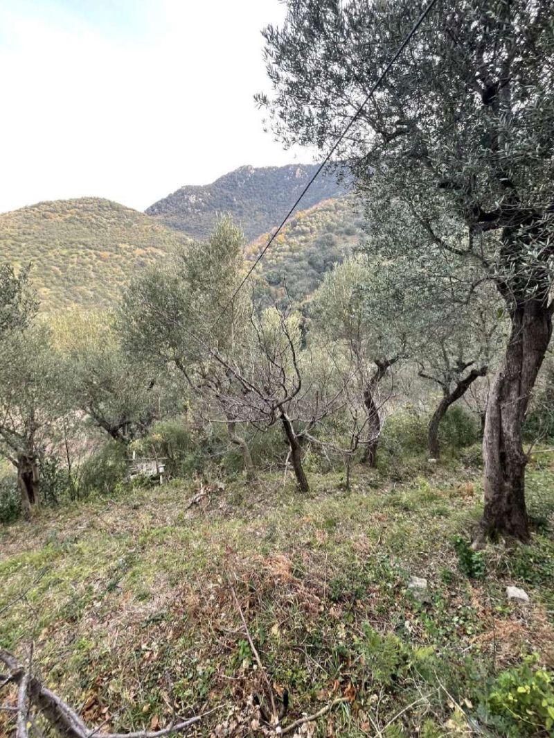immobile terreno all'asta in vico equense localita' Sperlonca - 80069 Vico Equense (NA) - 2