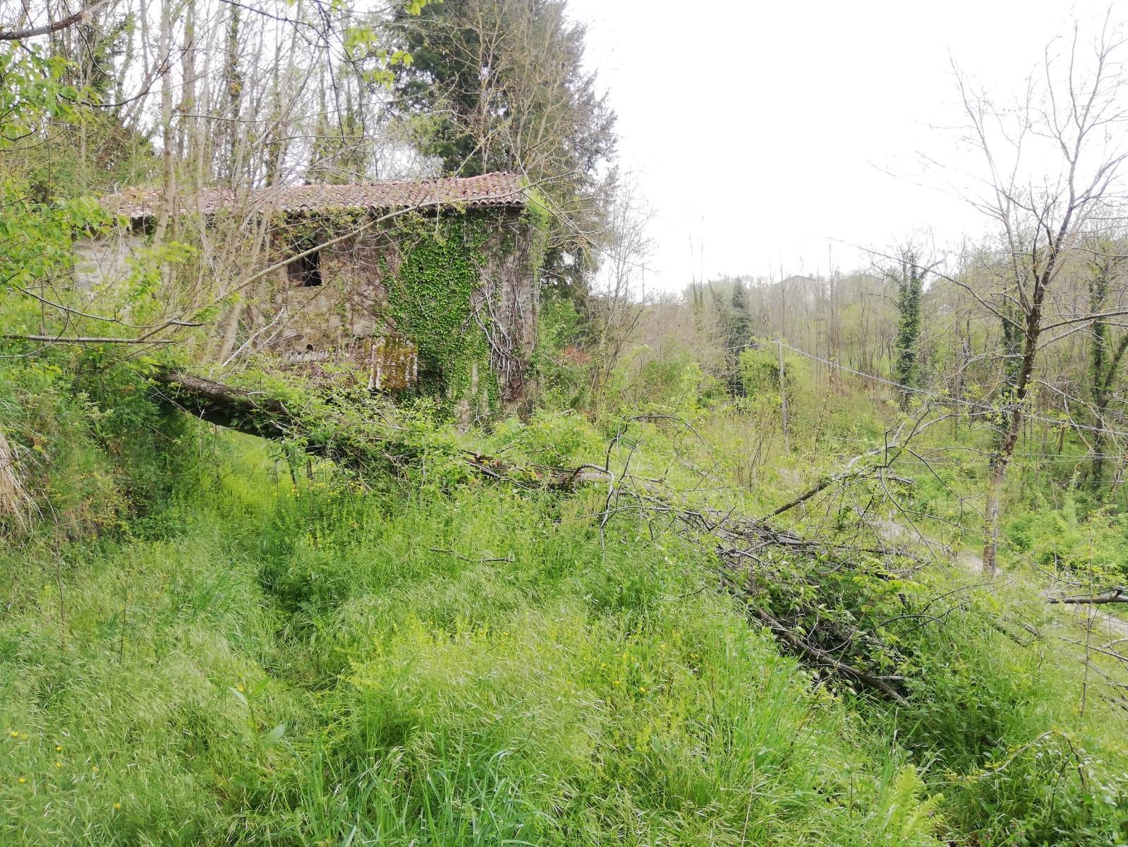 immobile magazzino all'asta in LOCALITA' IN BUGGINA SNC - 55032 Castelnuovo di Garfagnana (LU) - 5