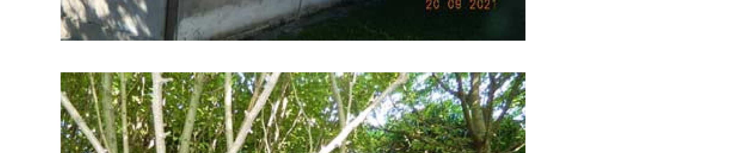 immobile appartamento all'asta in Via VIGNA 54 - 35020 Arzergrande (PD) - 4