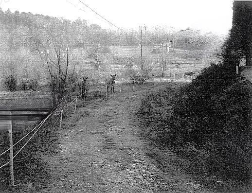 immobile appartamento all'asta in Roccolo, Strada Vicinale del Vallio, snc Desenzano del Garda (BS) - 1