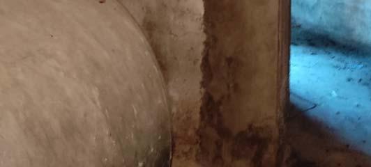 immobile magazzino all'asta in Via serafino biscardi snc - 87042 Altomonte (CS) - 4