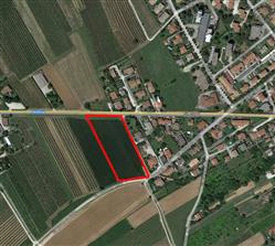 immobile terreno all'asta in Via Isonzo snc - 34071 Cormons (GO) - 1
