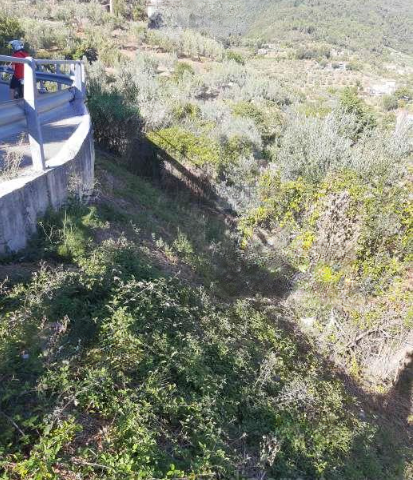immobile terreno all'asta in località "Tobbiana", lungo la via di Fino Montale (PT) - 2