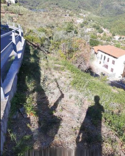 immobile terreno all'asta in località "Tobbiana", lungo la via di Fino Montale (PT) - 3