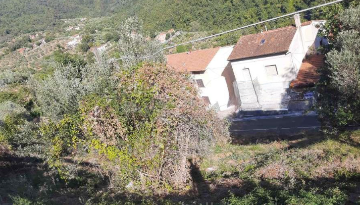immobile terreno all'asta in località "Tobbiana", lungo la via di Fino Montale (PT) - 5