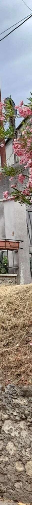 immobile appartamento all'asta in Via Don Minzoni, 93 - 04010 Cori (LT) - 1