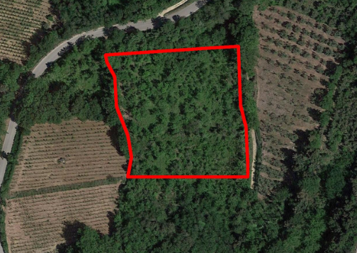 immobile terreno all'asta in via fontemartino, n snc - 66010 Canosa Sannita (CH) - 1