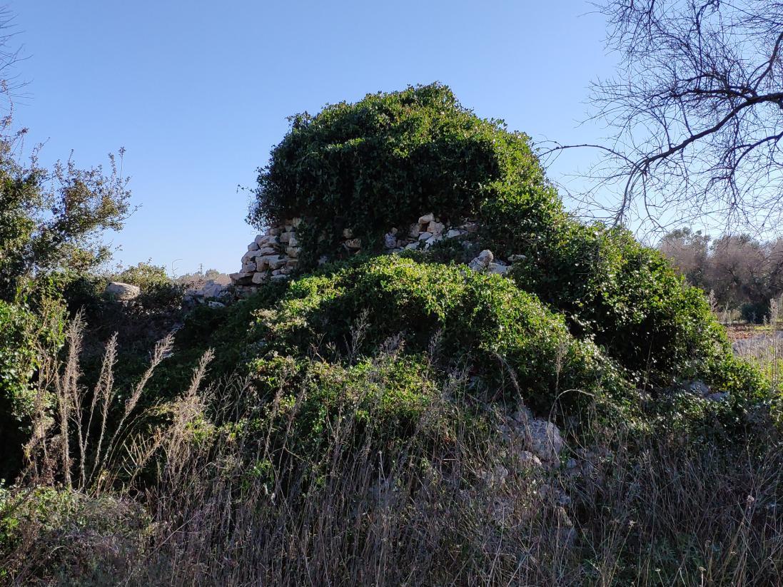 immobile terreno all'asta in zona a nord-est del comune di Presicce-Acquarica e compresa tra i comuni di Presicce-Acquarica e Alessano - 73031 Alessano (LE) - 2