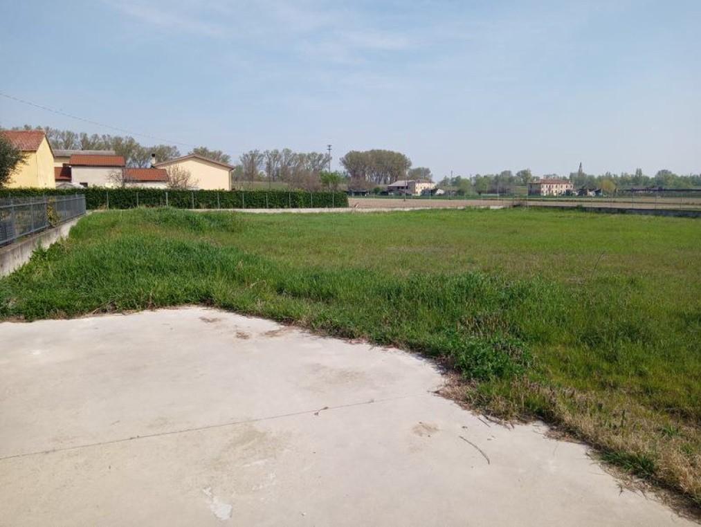 immobile terreno all'asta in Località Villa D'Adige, Via F Chieregato - 45021 Badia Polesine (RO) - 1