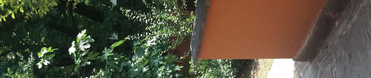 immobile posto auto all'asta in Milano 2, residenza Ponti, Mestieri e Botteghe Segrate (MI) - 5