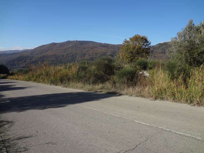 immobile magazzino all'asta in Via Del Duca 2 - 86020 Roccavivara (CB) - 1