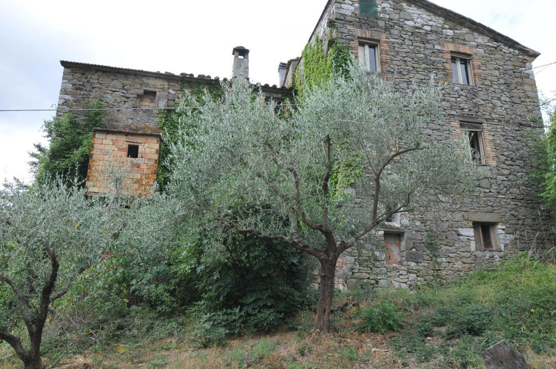 immobile appartamento all'asta in LOC MONESTEVOLE, 411 - 06019 Umbertide (PG) - 3